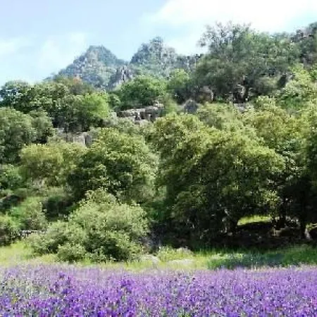 The Barn At Al-manzil By Interhome