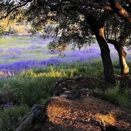 The Barn At Al-manzil By Interhome