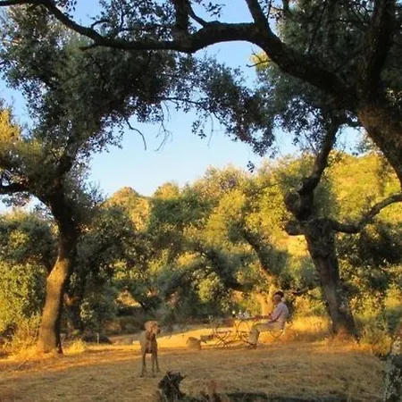 The Barn At Al-manzil By Interhome