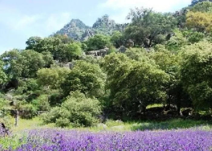 The Barn At Al-manzil By Interhome