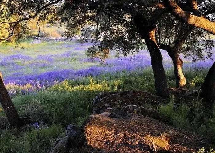 The Barn At Al-manzil By Interhome