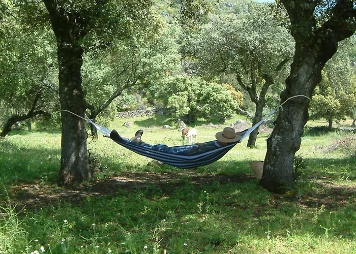 The Barn At Al-manzil By Interhome Holiday home *