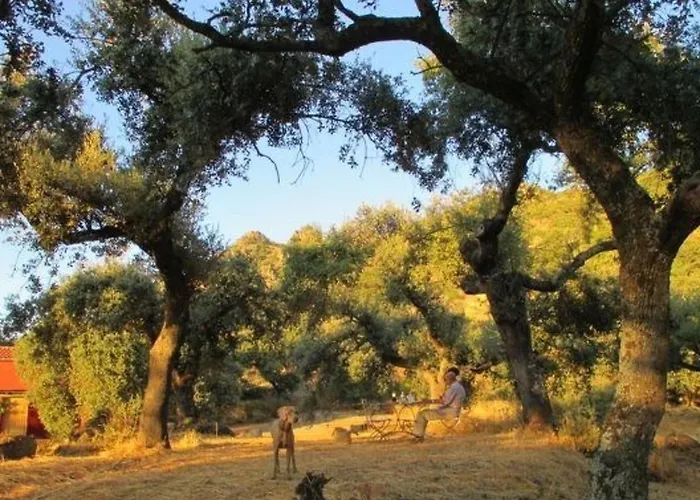 The Barn At Al-manzil By Interhome